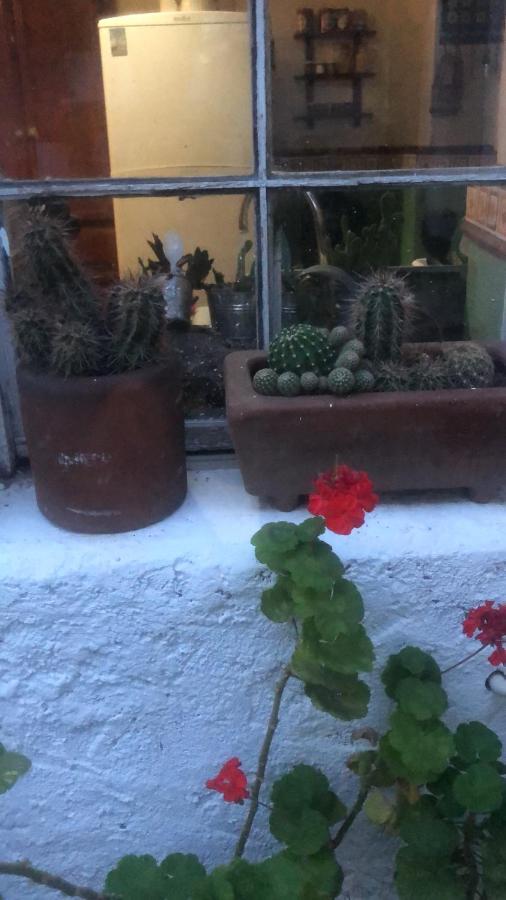 Home Stay Maria Hidalgo del Parral Eksteriør bilde